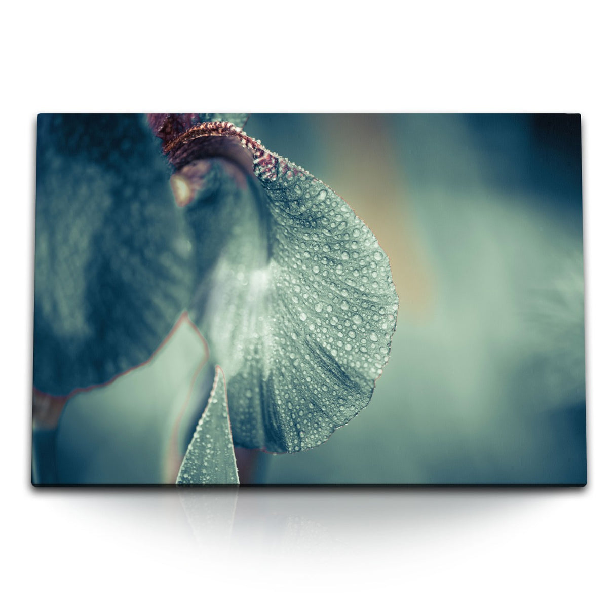 STOCKS_1913R8kei9yNkE59Y_1280x1280.jpg