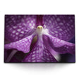 STOCKS_0427AzuaodljrdYsO_1280x1280.jpg