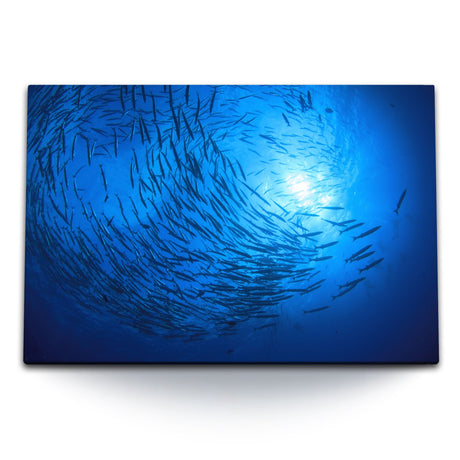 STOCKS_2090jjTRknpFIf7UB_1280x1280.jpg