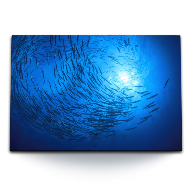 STOCKS_2090jjTRknpFIf7UB_1280x1280.jpg