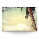 STOCKS_0426WJyMloZy196cI_1280x1280.jpg