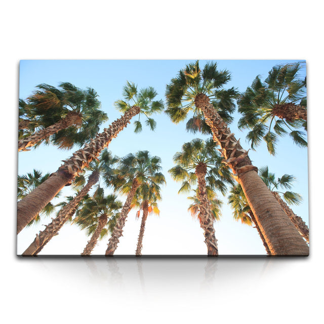 STOCKS_0372yZAoZE7RRWPN2_1280x1280.jpg