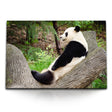 STOCKS_07582RoxMbgbxtE7r_1280x1280.jpg