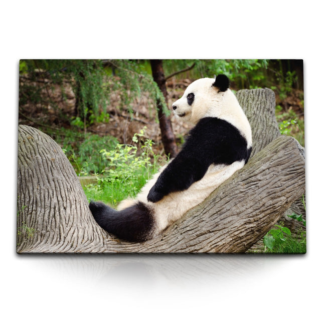STOCKS_07582RoxMbgbxtE7r_1280x1280.jpg