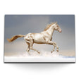 STOCKS_12274ApDzniYIVpN8_1280x1280.jpg