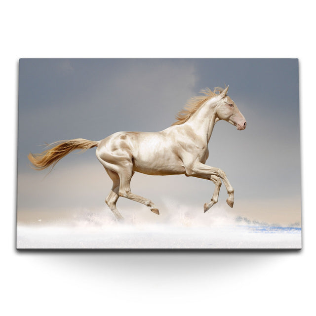 STOCKS_12274ApDzniYIVpN8_1280x1280.jpg
