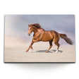 STOCKS_1462Nl8xCuymERNmj_1280x1280.jpg