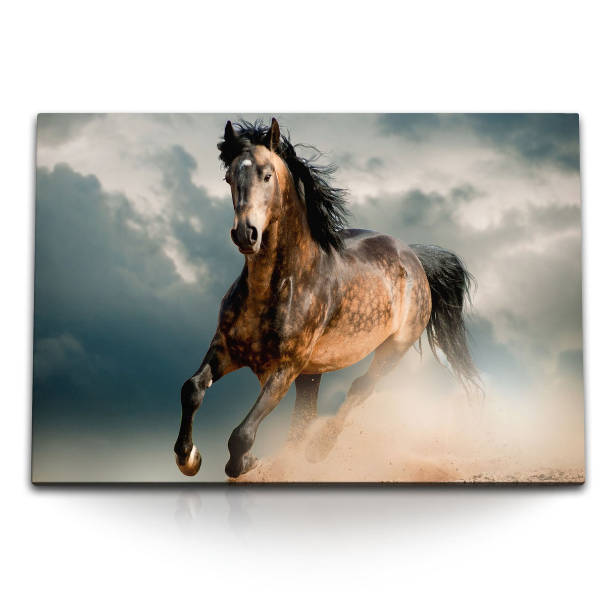 STOCKS_1101MlynAntCu2O7D_1280x1280.jpg