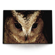 STOCKS_1695xFHkZgBTRE4KP_1280x1280.jpg