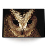 STOCKS_1695xFHkZgBTRE4KP_1280x1280.jpg