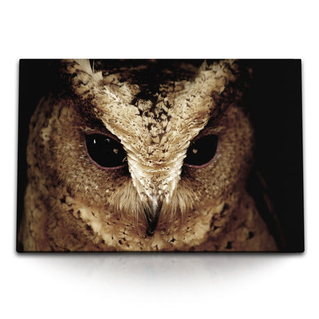 STOCKS_1695xFHkZgBTRE4KP_1280x1280.jpg