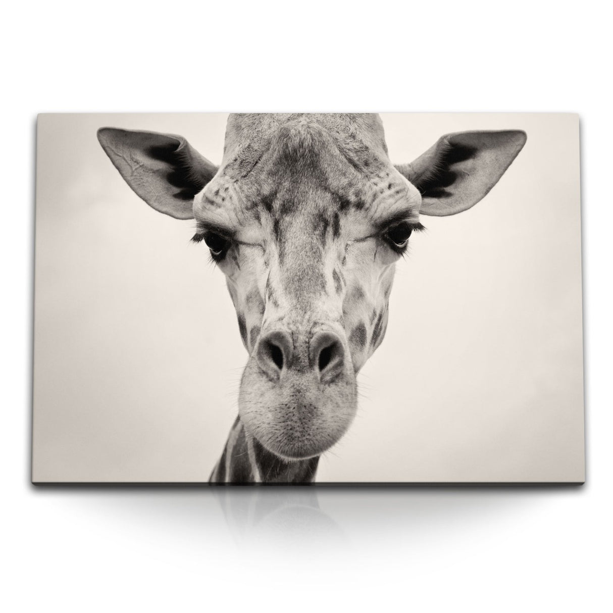STOCKS_0126NSEiACuQFMUPf_1280x1280.jpg
