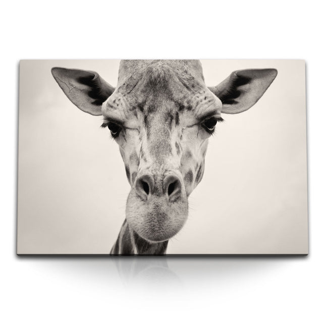STOCKS_0126NSEiACuQFMUPf_1280x1280.jpg