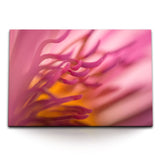 STOCKS_1534fNCsIxPxdAiM3_1280x1280.jpg