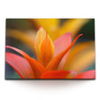 STOCKS_0531qMbMAFek2LZ1l_1280x1280.jpg