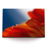 STOCKS_0348C74MNbGPzTEfZ_1280x1280.jpg
