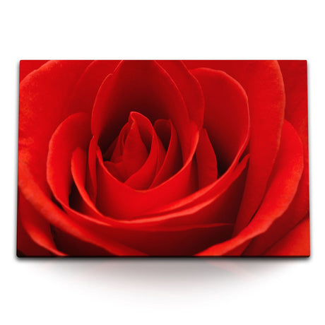 STOCKS_0407RUX86Qq9S2EcY_1280x1280.jpg