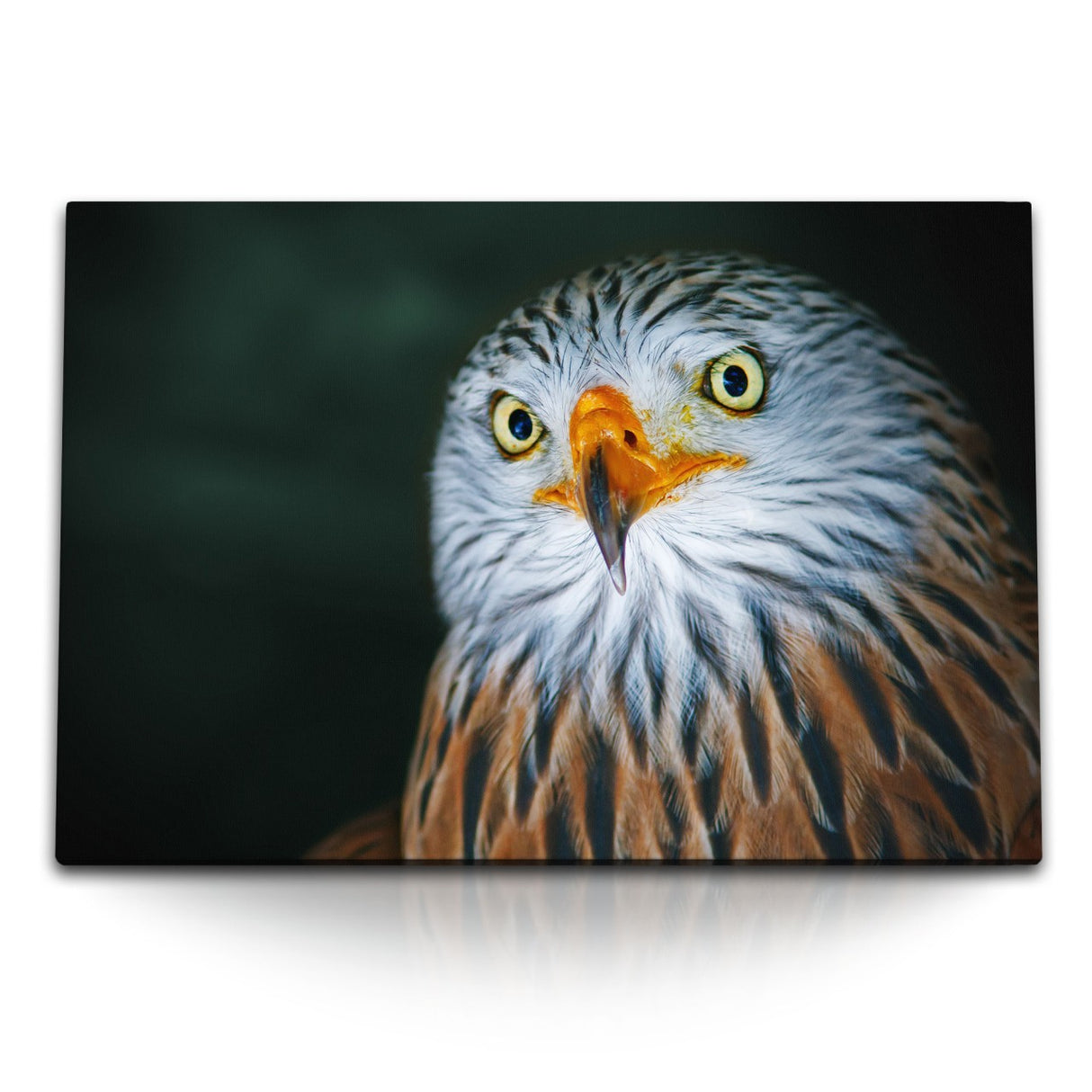 STOCKS_1004LpAusesi38a6l_1280x1280.jpg