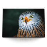 STOCKS_1004LpAusesi38a6l_1280x1280.jpg