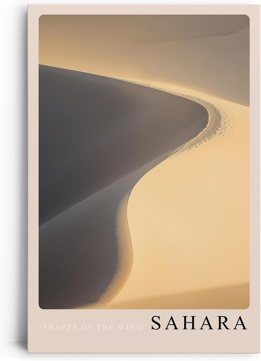 Paul Sinus Leinwandbild 60x90cm Leinwandbild Sahara Wüste Sanddüne Natur Minimalismus Landschaft Licht und Schatten Fotografie Eleganz Stille Reise