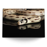 STOCKS_22915Zk07aPxlxzop_1280x1280.jpg