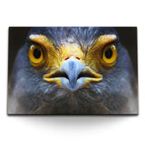 STOCKS_0496osVmLNOS9JXVo_1280x1280.jpg