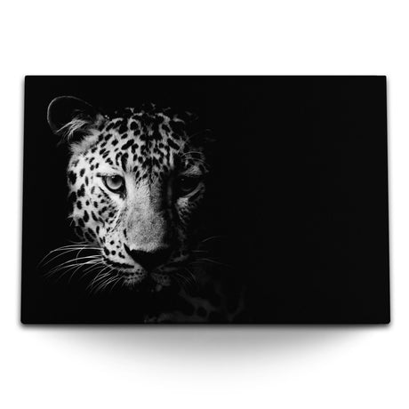 STOCKS_1000CI3LA2UANi2jf_1280x1280.jpg
