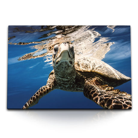 STOCKS_21297sD06r7ObbI2U_1280x1280.jpg