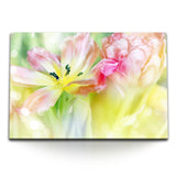 STOCKS_00858Gy2W69jbgKIg_1280x1280.jpg