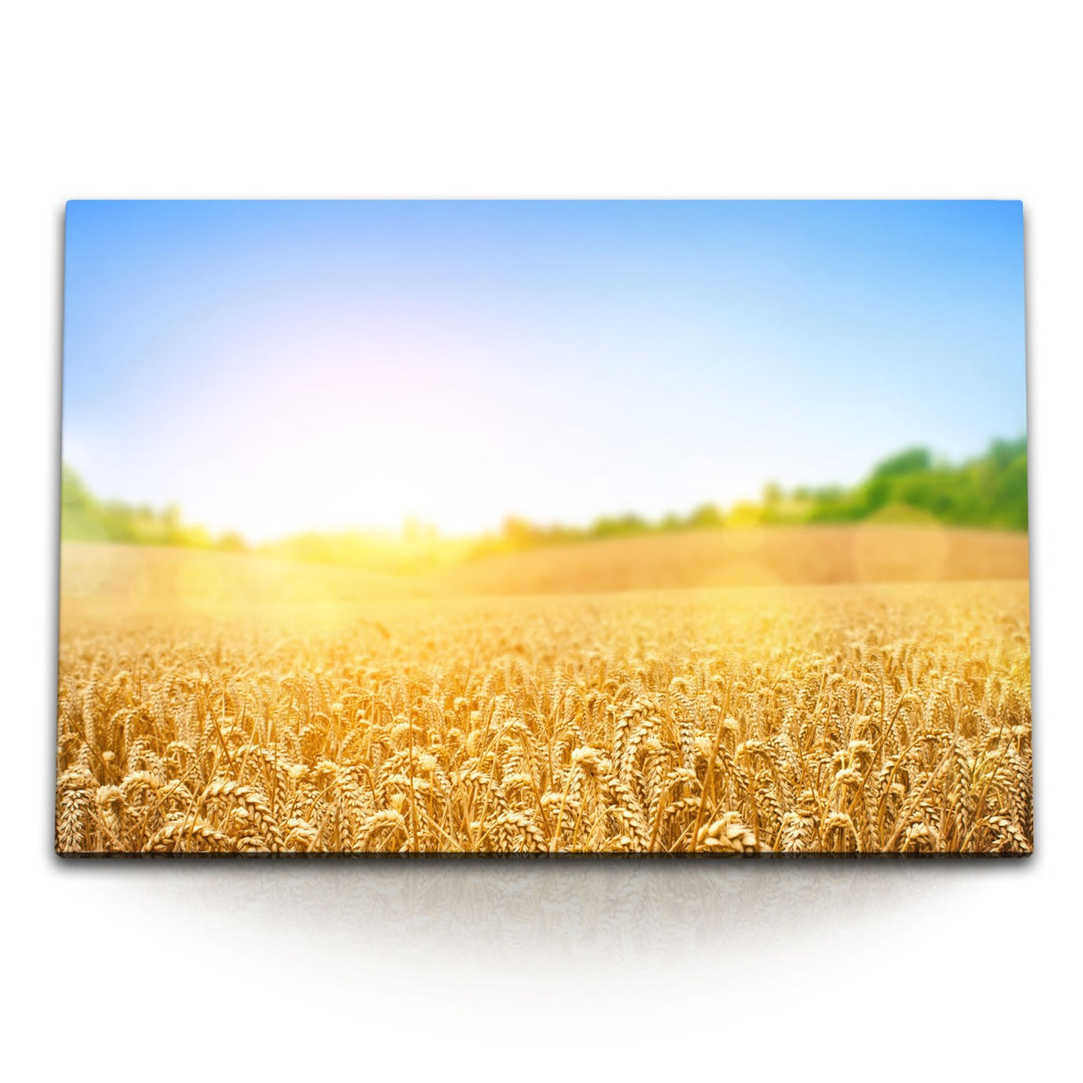 STOCKS_0742KERmN8M8Jrlzs_1280x1280.jpg