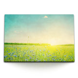 STOCKS_06538qCwaIYzehaaI_1280x1280.jpg
