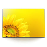 STOCKS_0080kAkdXbAgbSpkG_1280x1280.jpg