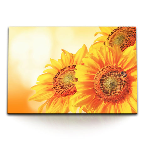 STOCKS_1391wTHQf28DNOupW_1280x1280.jpg