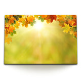 STOCKS_0999zLn1wqKie76aZ_1280x1280.jpg