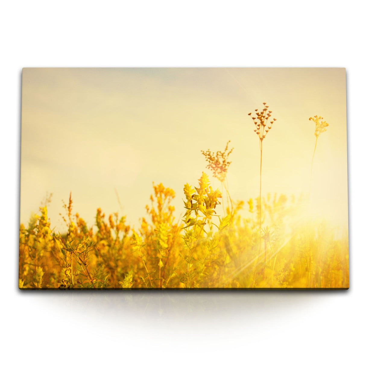 STOCKS_0885n7oPJ0IJEWoUP_1280x1280.jpg