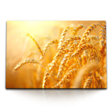 STOCKS_2323xq8s685a6dLmf_1280x1280.jpg