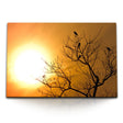 STOCKS_1266vbo1cSZ2HPhmR_1280x1280.jpg