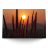 STOCKS_1595Vta4KPpbOW9oF_1280x1280.jpg