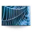 STOCKS_0681D52UHlFr4k6Eu_1280x1280.jpg