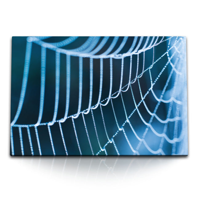 STOCKS_0681D52UHlFr4k6Eu_1280x1280.jpg
