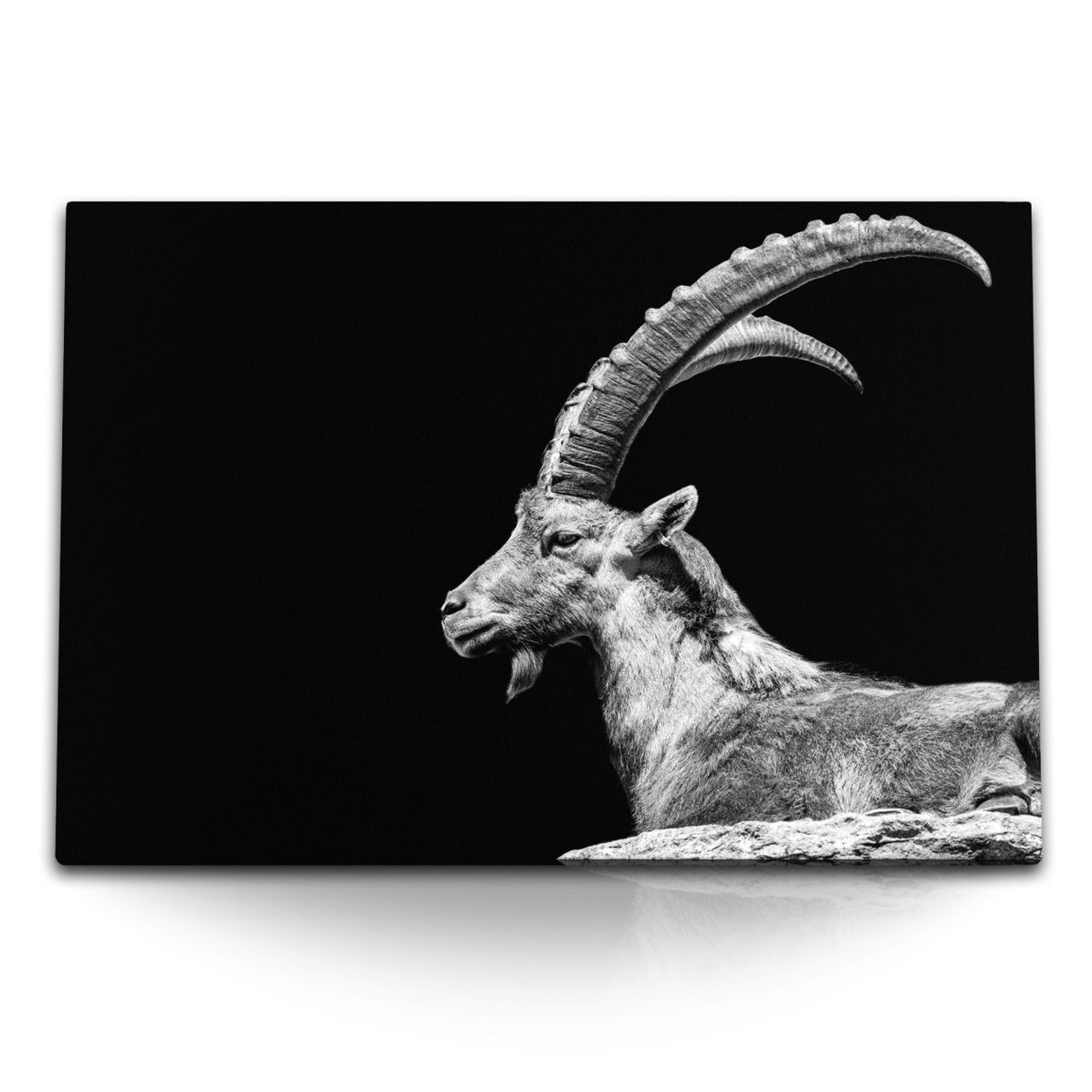 STOCKS_1394Rwbv1r0Ar7KAc_1280x1280.jpg