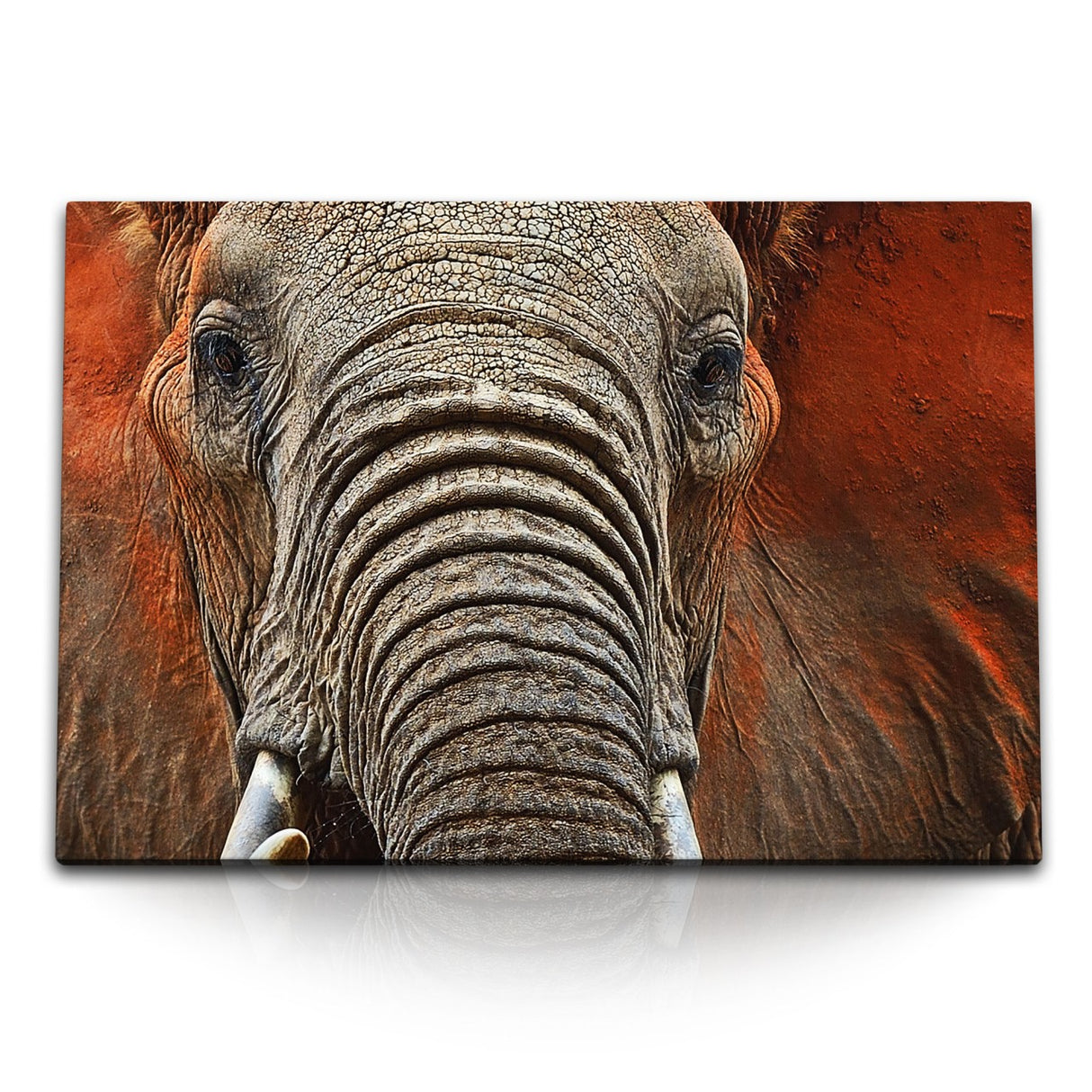 STOCKS_0279R5m9zXvrvYhrQ_1280x1280.jpg