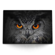 STOCKS_0360uJ8jhM30qiULm_1280x1280.jpg