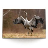 STOCKS_0850smefxK1zUr2N5_1280x1280.jpg