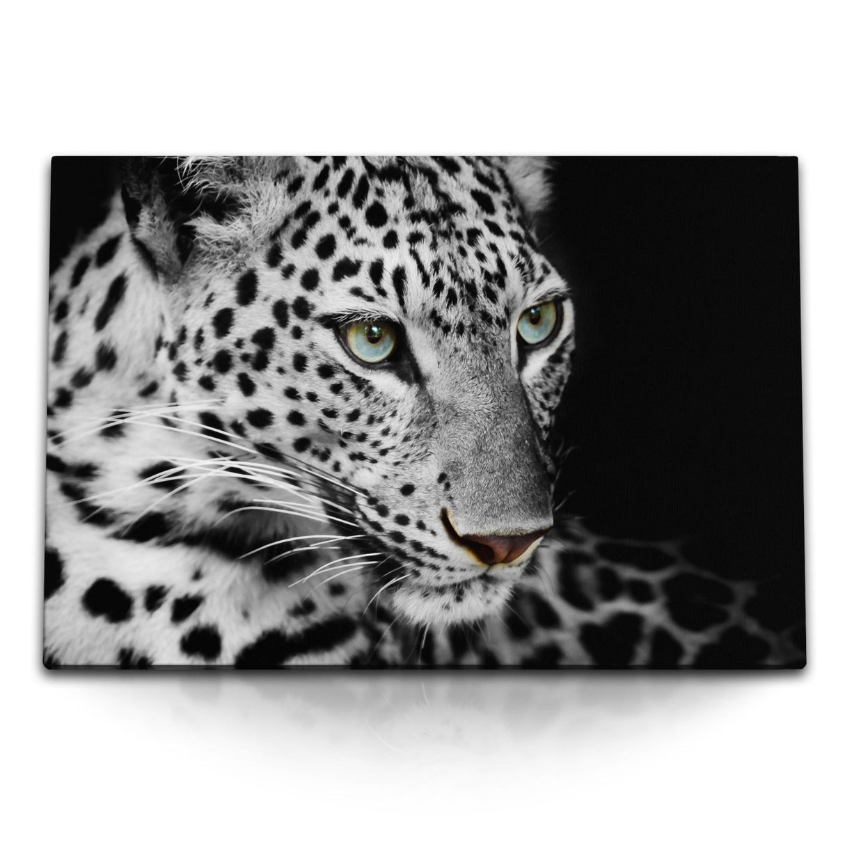 STOCKS_1020B36b03CWacyuH_1280x1280.jpg