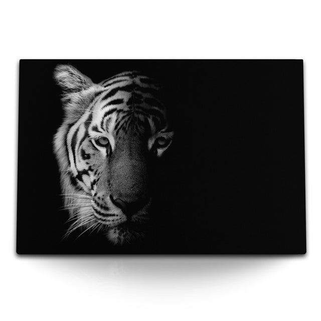 STOCKS_1833G3MqrQoqMbVnK_1280x1280.jpg
