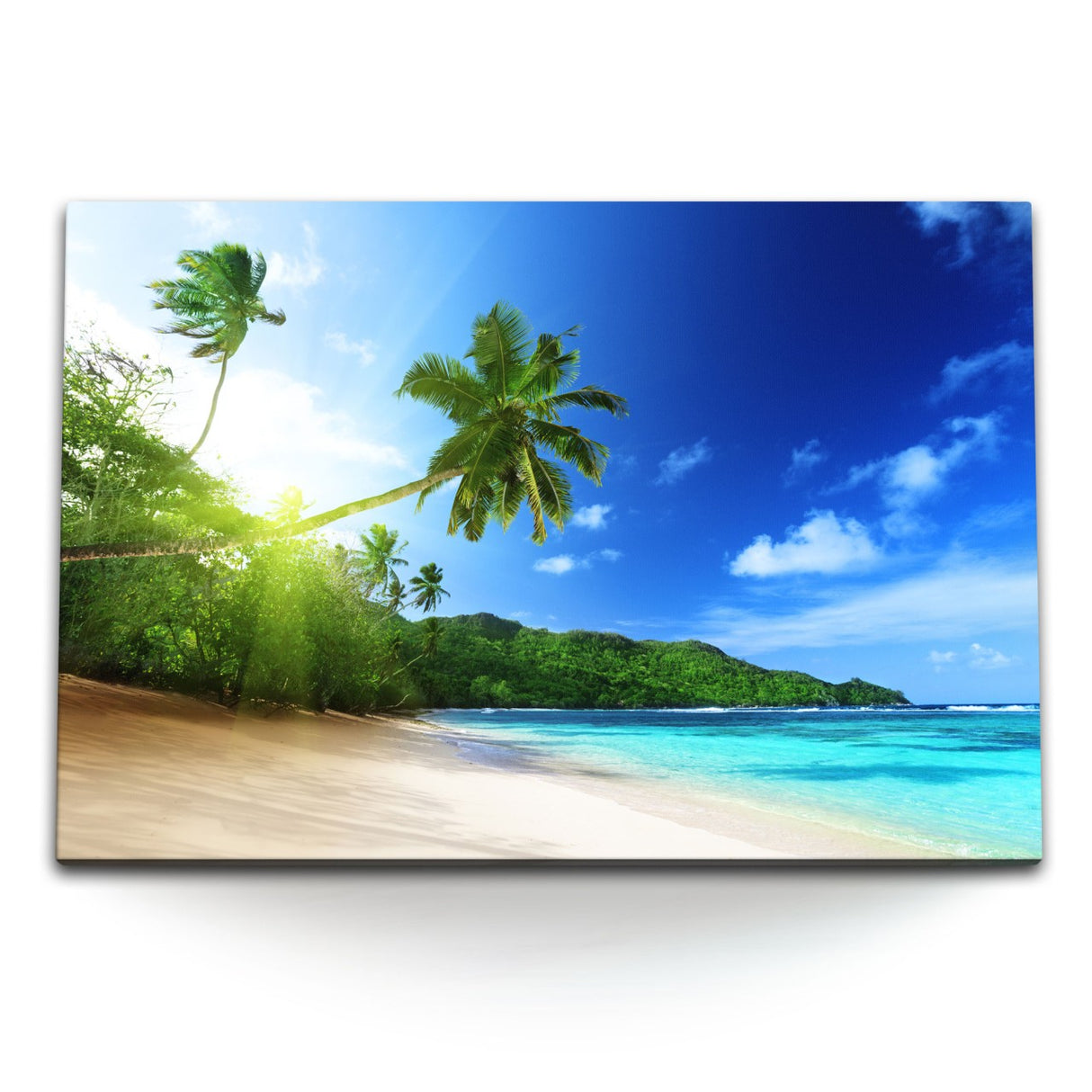 STOCKS_0554RTnk7VP6X7QHL_1280x1280.jpg