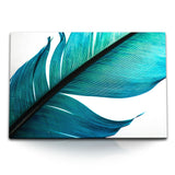 STOCKS_024126htrDXPRLnBC_1280x1280.jpg