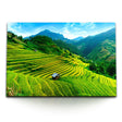 STOCKS_1197HpId30vmAZdHN_1280x1280.jpg