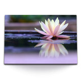 STOCKS_0438xqbeobA2Mdqdf_1280x1280.jpg